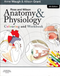 Anatomy And Physiology : Colouring and Workbook